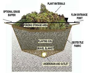 Rain Garden Diagram